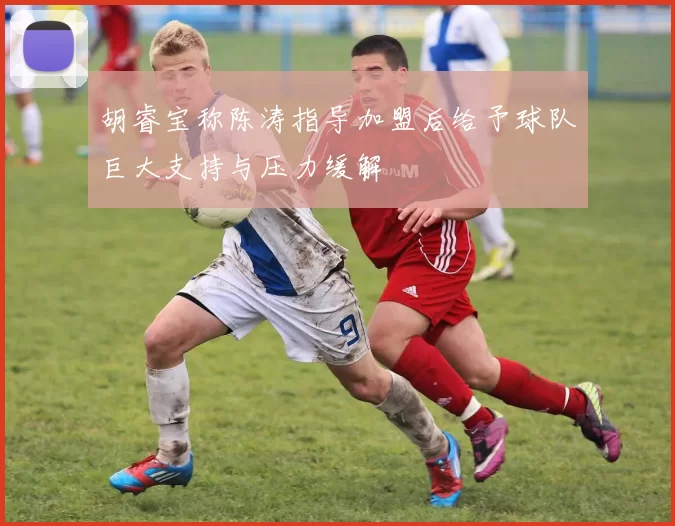 胡睿宝称陈涛指导加盟后给予球队巨大支持与压力缓解