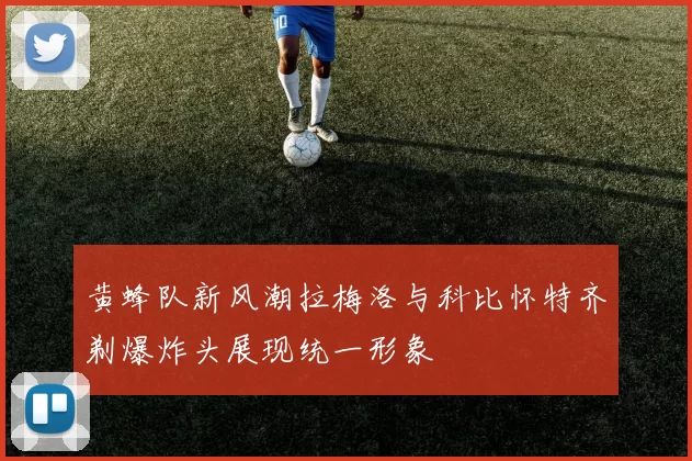 黄蜂队新风潮拉梅洛与科比怀特齐剃爆炸头展现统一形象